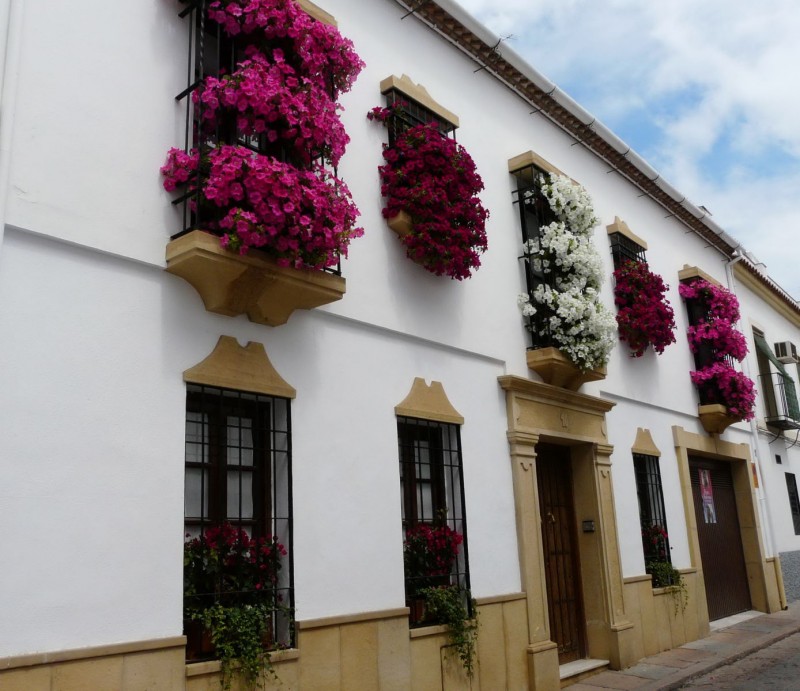 Rejas y Balcones