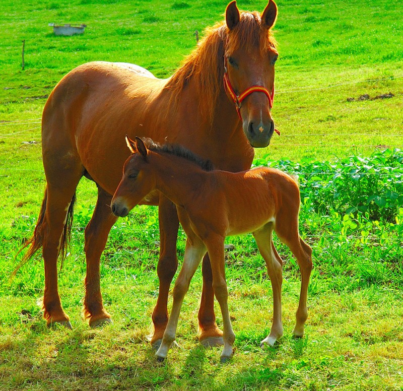 Mi mam y yo