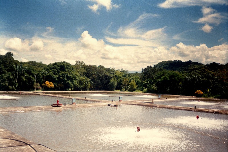 Lagunas de Oxidacin...