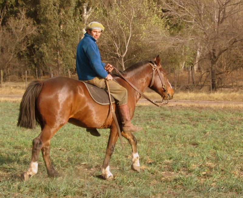 CABALLITO DE LA NADA