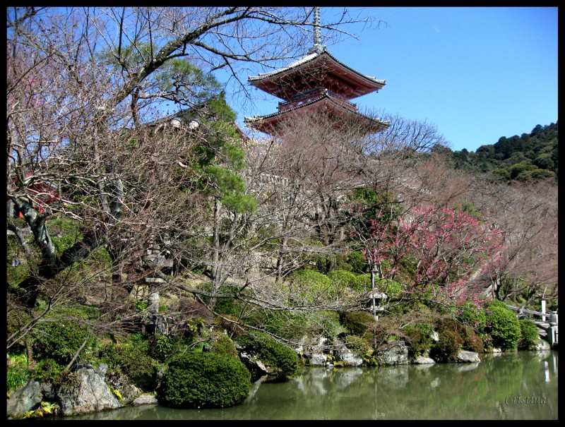 Jardn de la pagoda