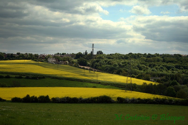 PRIMAVERA