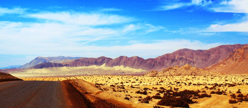 Los Colores de un Desierto