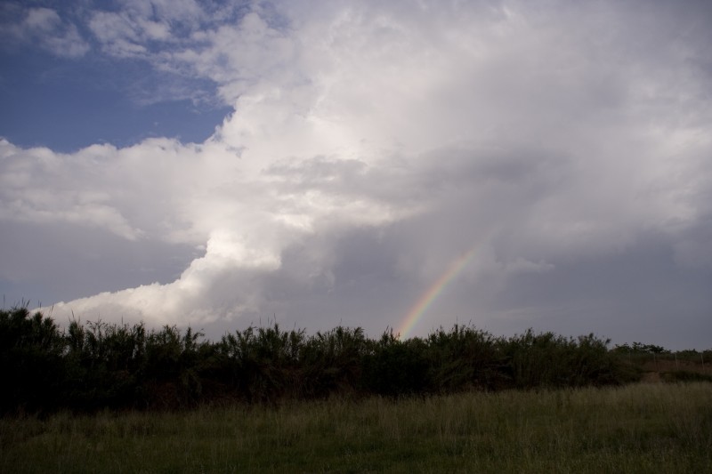 la tormenta casi perfecta