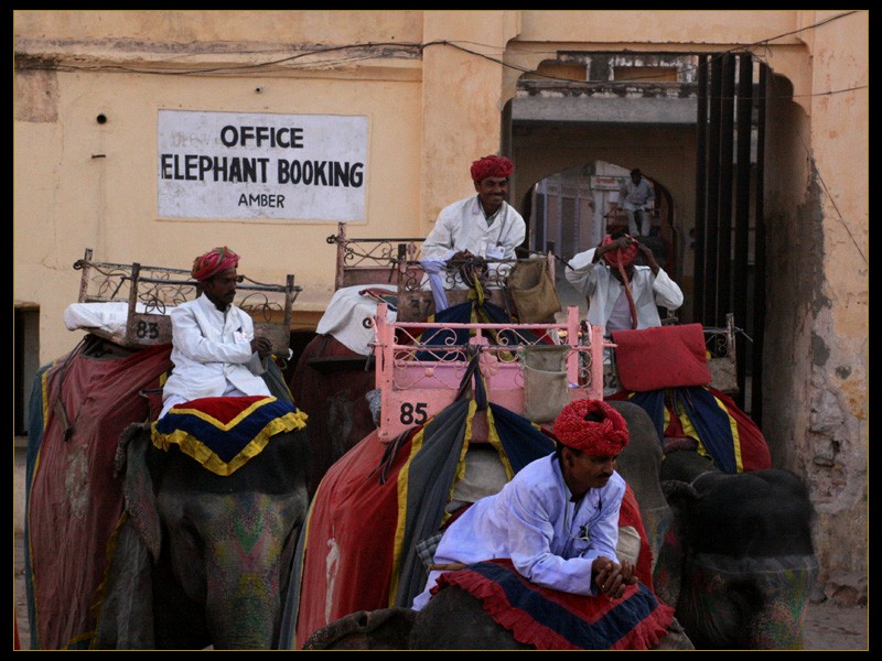 Office elephant booking