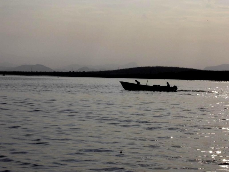 Pescadores Madrugadores