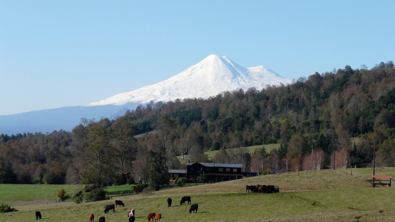 Fundo Llaimahuida