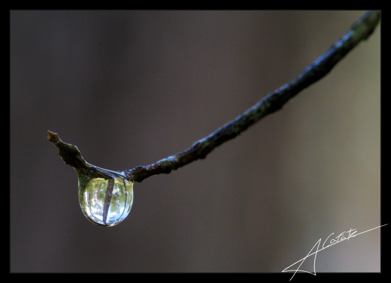 Gota a gota