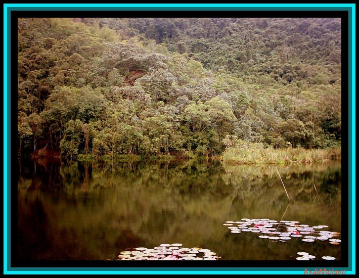 Laguna el Tabacal (2)...