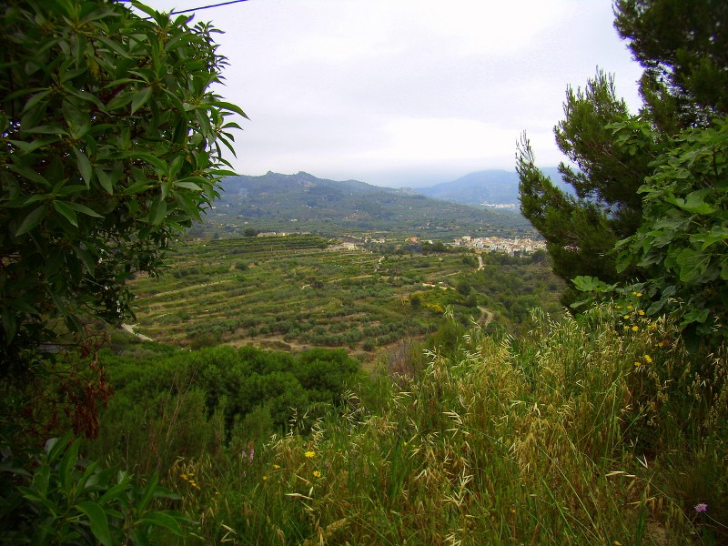 primavera verde