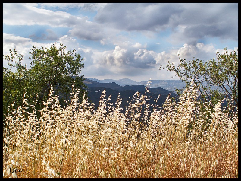 Horizontes