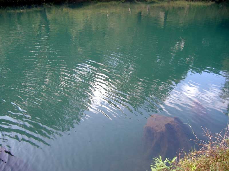 Rio Frio Gomez Faras