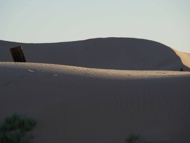 dunas de samalayuca 3