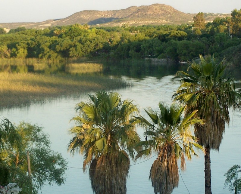 disfrutando de la naturaleza