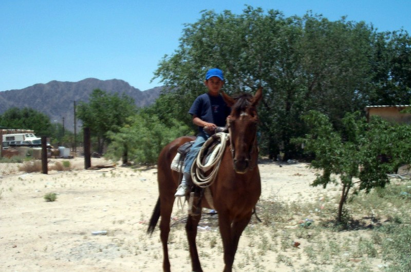 A caballo en Samalayuca