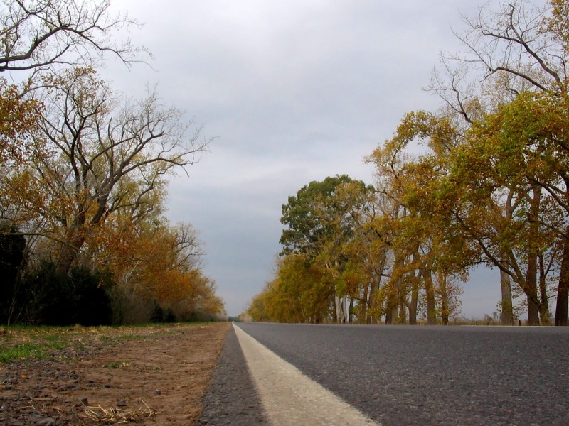 AL BORDE DEL CAMINO