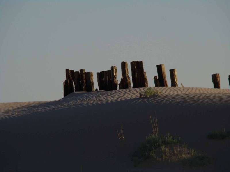 GUARDIANES DE LAS DUNAS DE SAMALAYUCA