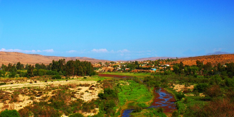 Entre Tongoy y Los Vilos