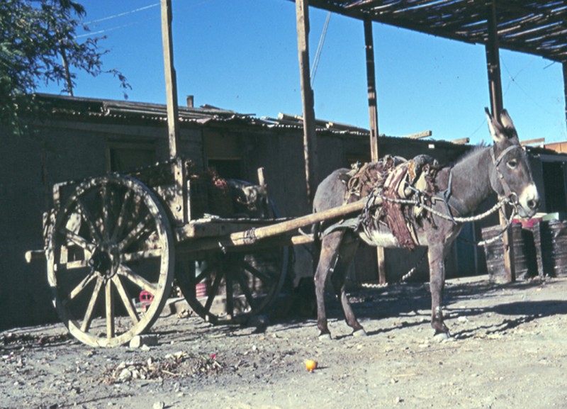 Huara. Transporte local.