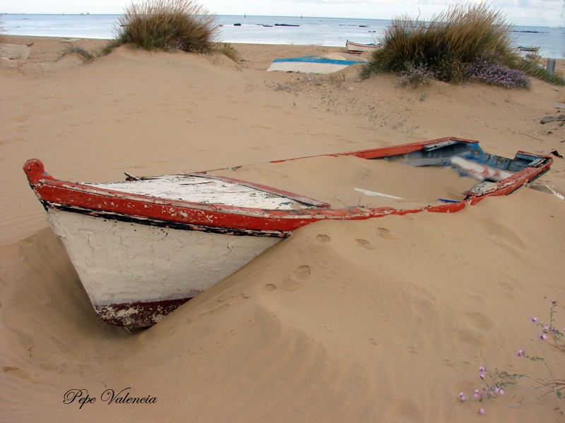 Las dunas avanzan