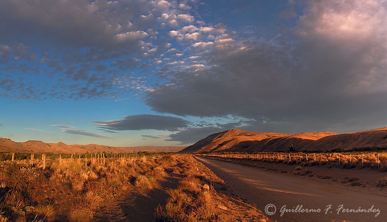 Atardecer en el camino