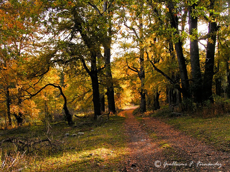 Senderos de Naturaleza