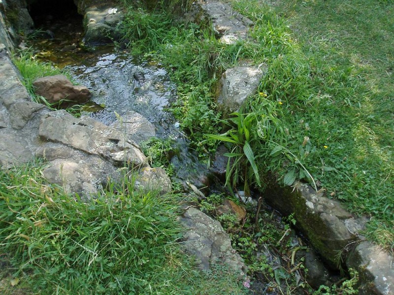 naturaleza-abandonada