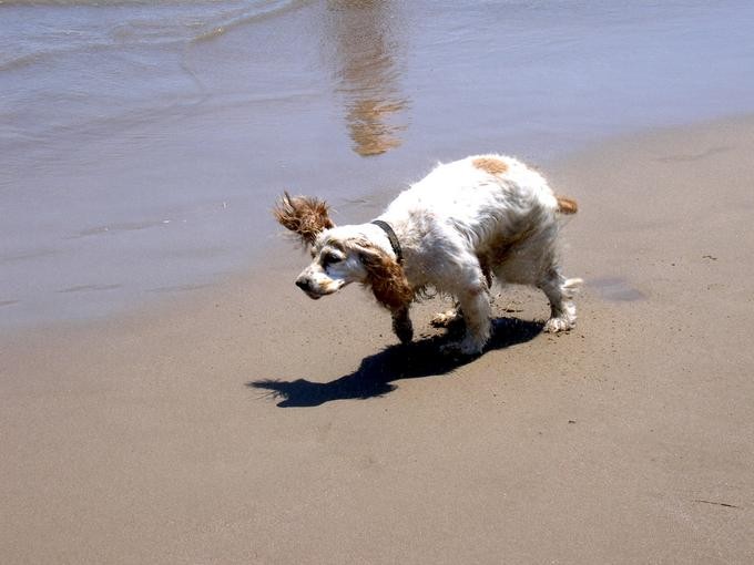 Juegos en la playa