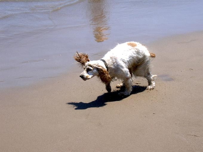 Juegos en la playa