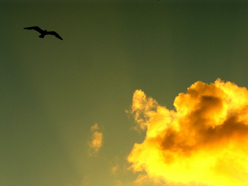 volar con nubes