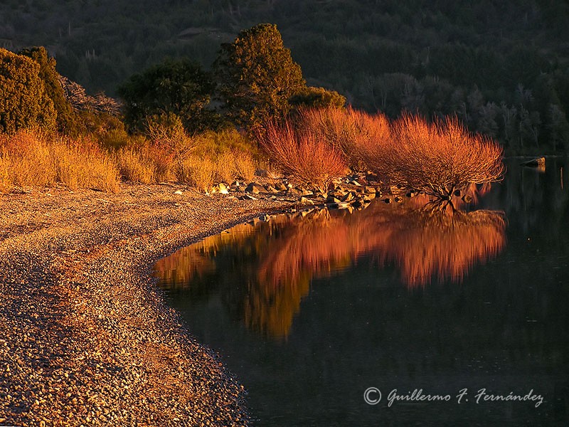 Reflejo II