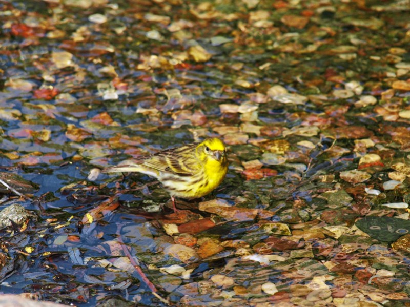 Hay que refrescarse