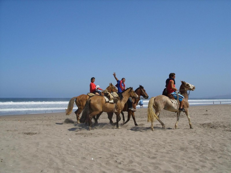 Libertad junto al mar