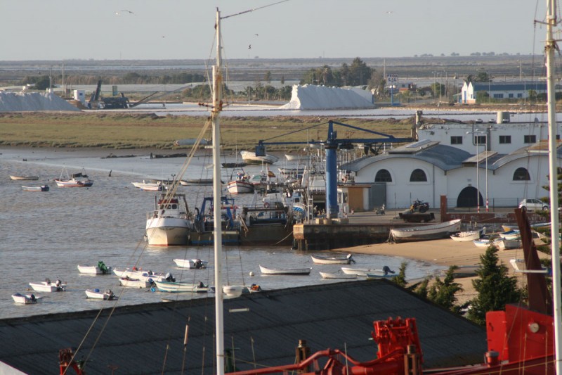 Muelle pesquero