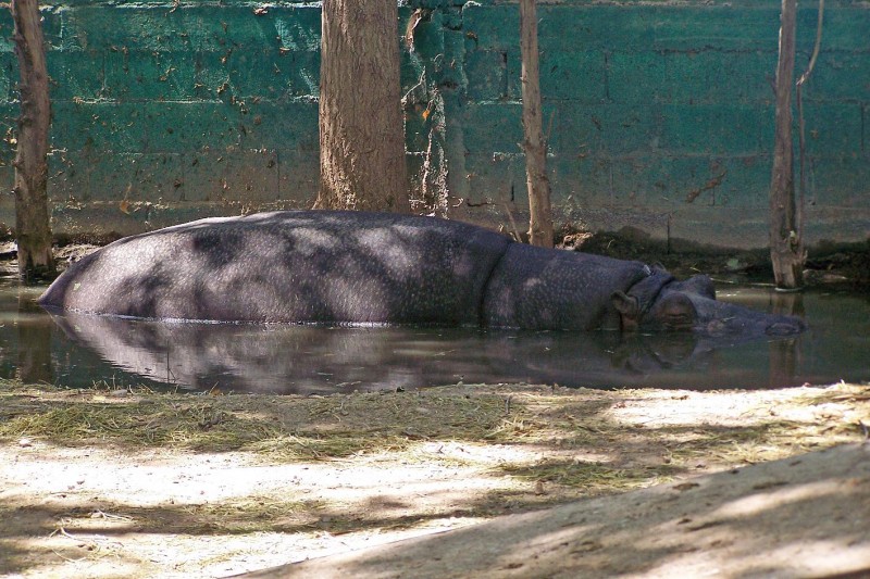 un minuto de descanso