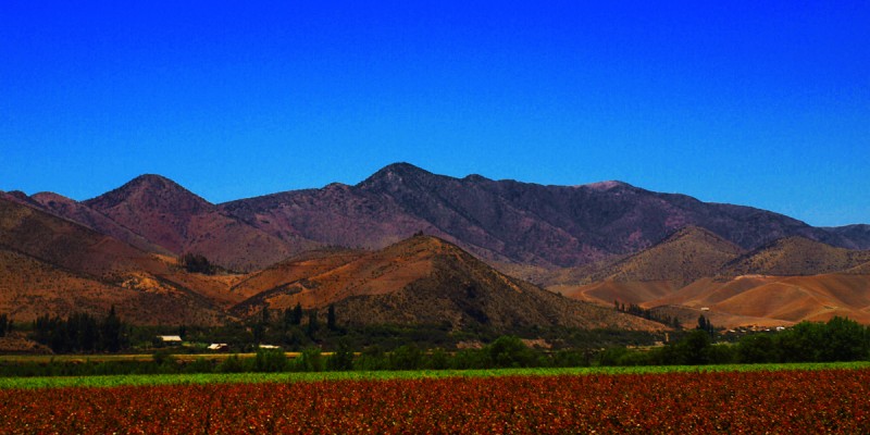 Elqui Valley #2