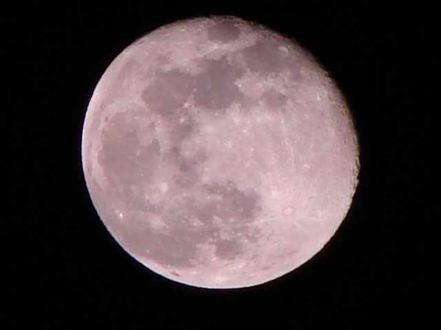 LA LUNA DE NOVIEMBRE