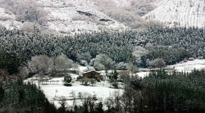 blanco sobre verde