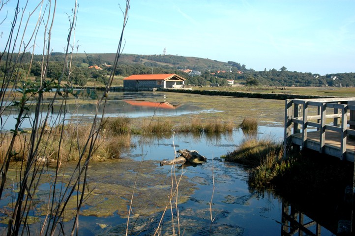 Molino de mareas