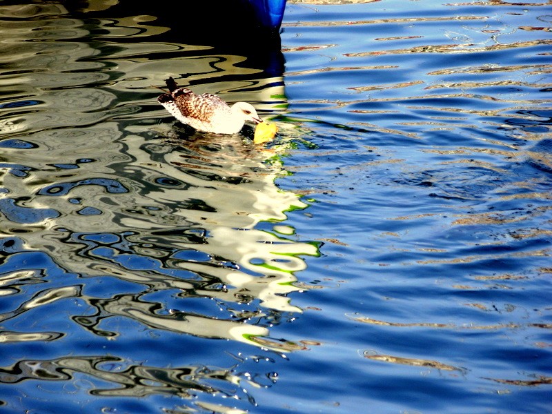 reflejo y agua