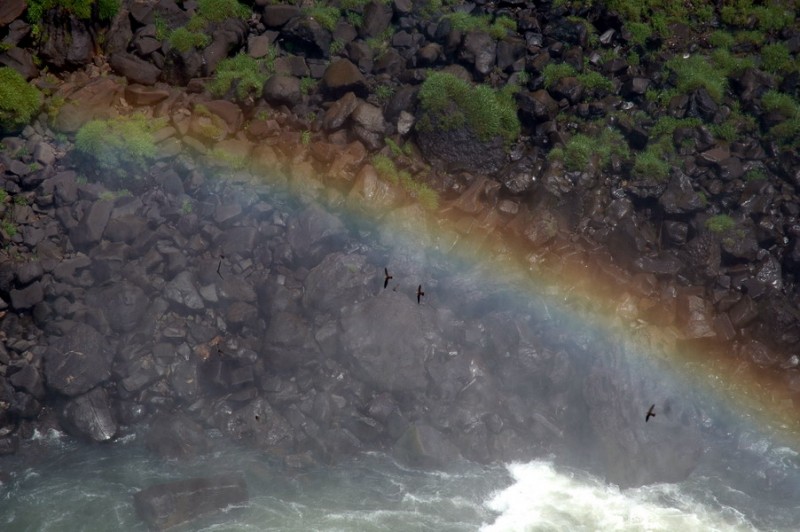 Volando por el Arco Iris