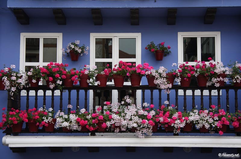 El color de Hondarribia