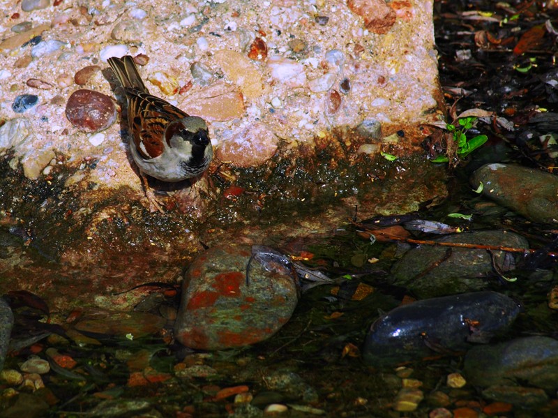 Me voy refrescar....