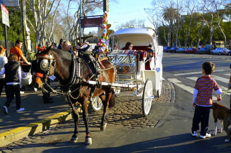 Paseando en Mateo