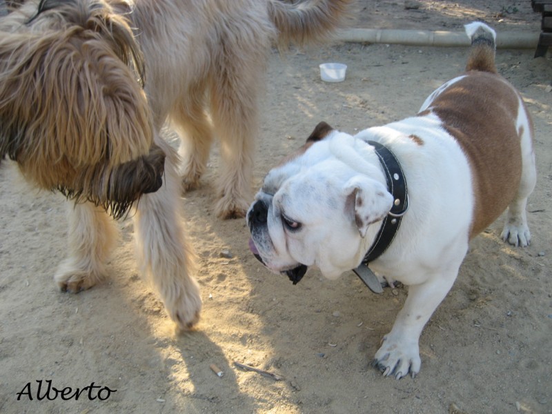 Una gran amistad