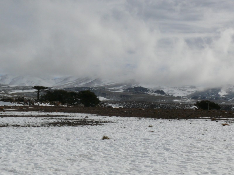 UN POCO DE VIENTO BLANCO