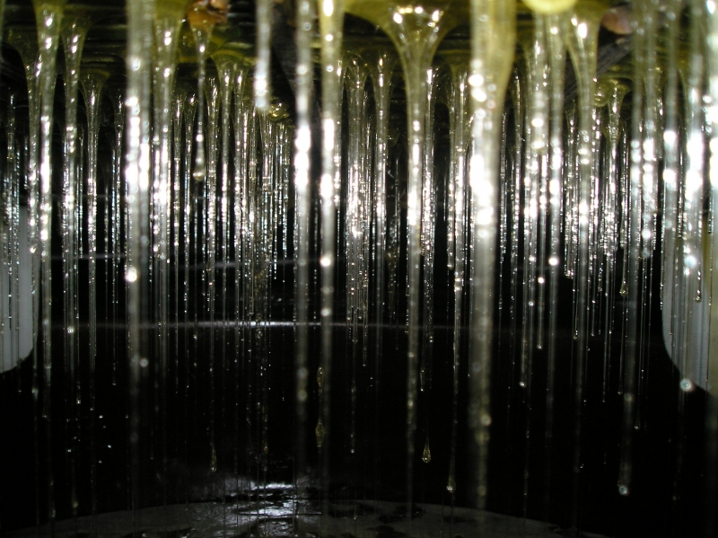 Lluvia de miel
