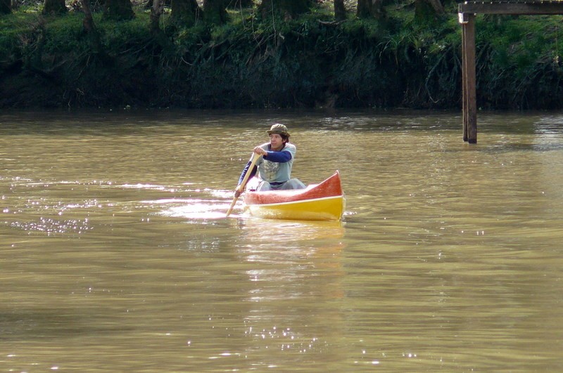 Llegando a la orilla