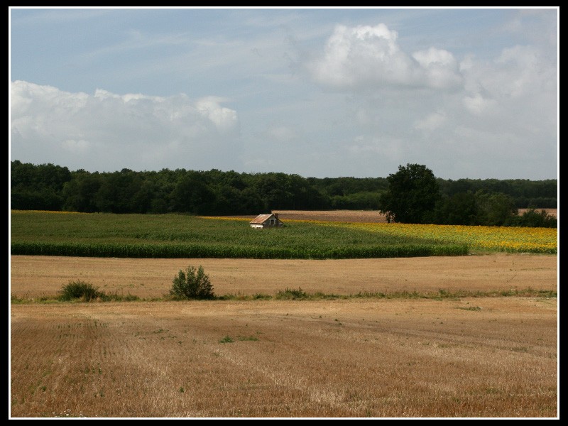 Un rincon del Loire