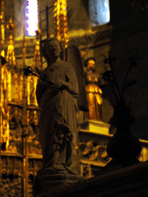 Detalles de la Catedral